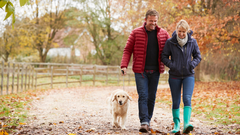 Cancer Survivors May Face These Long-Term Health Concerns Image