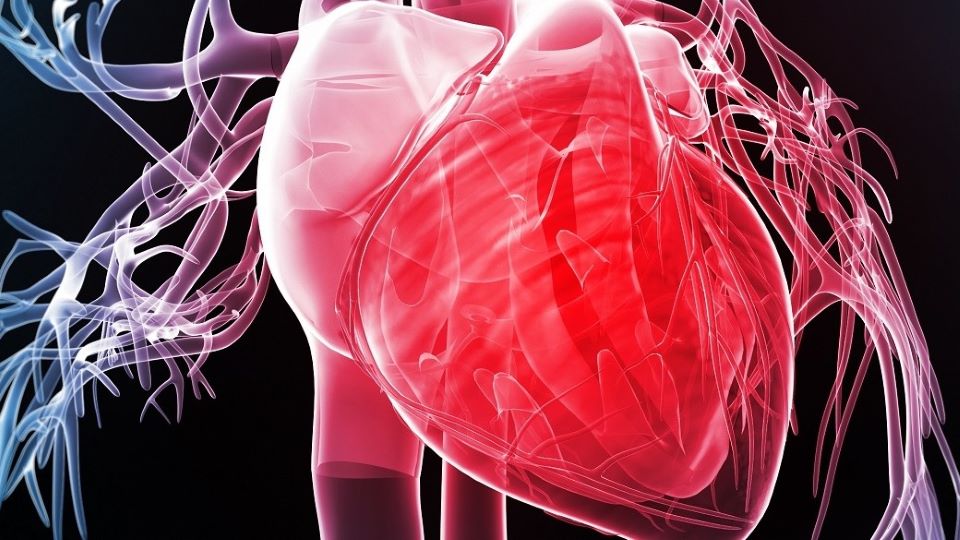 What Is Heart Failure – and How Do You Know If You Have It?  Image