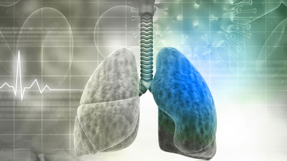 26th Annual Pulmonary Evening Grand Rounds: Treatment of COPD in the Era of Precision Medicine Image