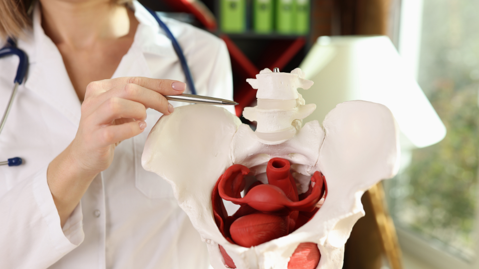 Look Out Below: Understanding and Treating Pelvic Health Issues Image