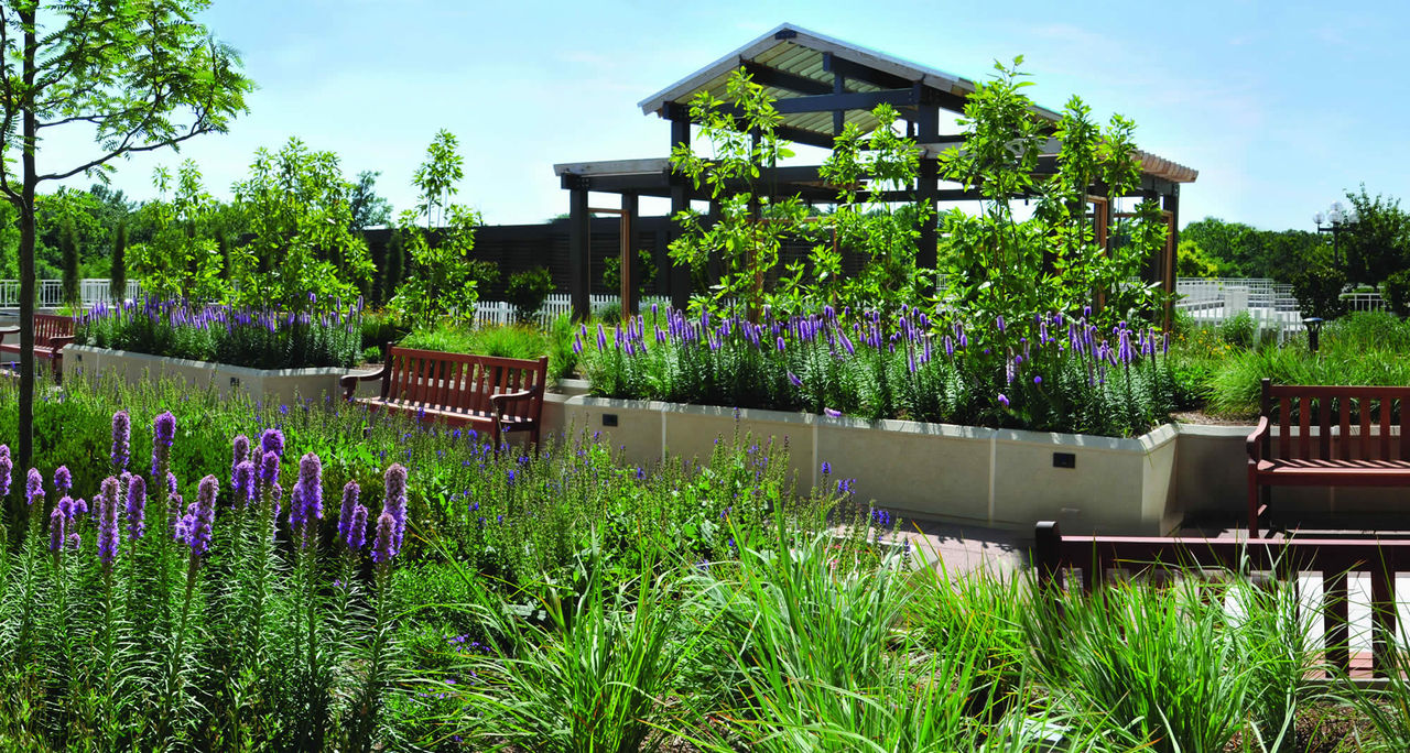 St. Luke's Hospital healing garden 