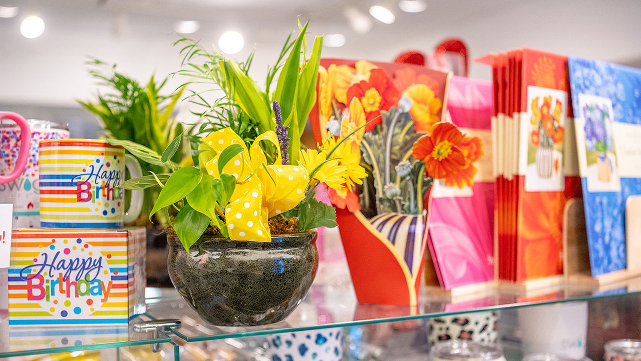 plants