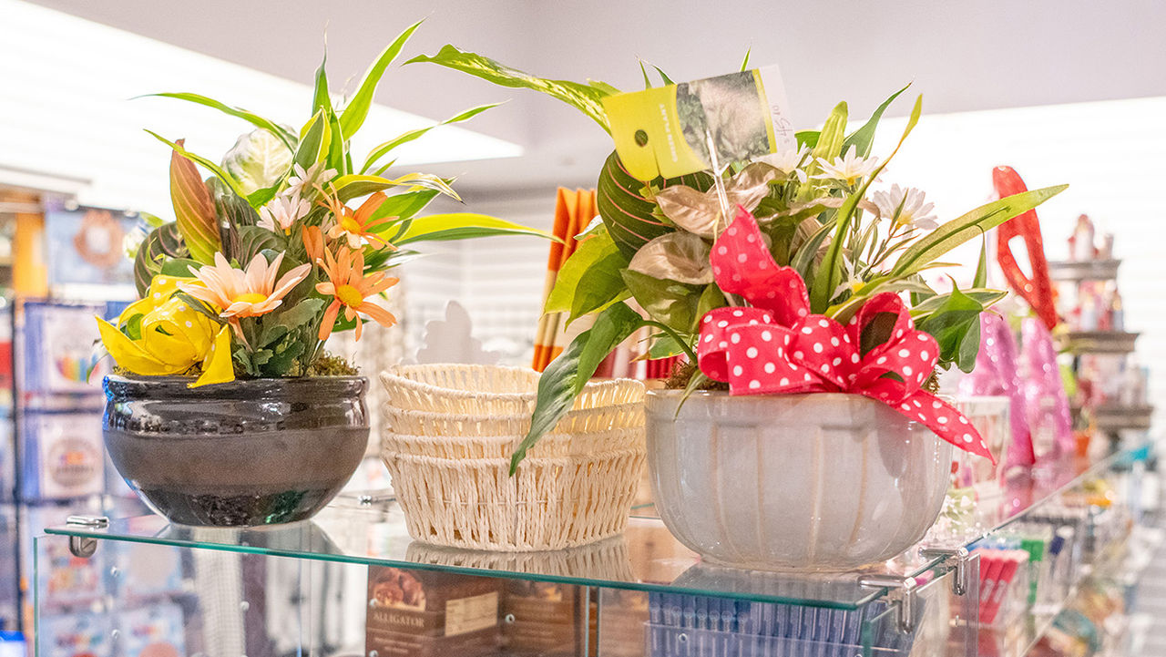 plants too