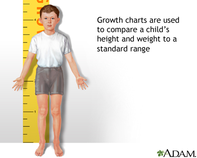 Height/weight chart