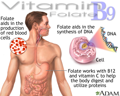 Vitamin B9 benefits