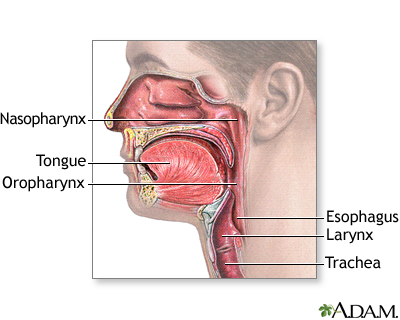 Oropharynx