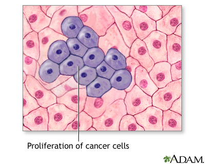 Cell proliferation